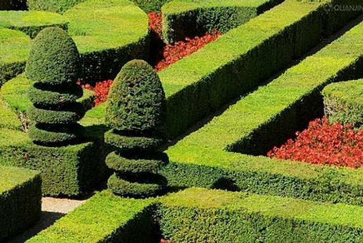 优发国际·随优而动一触即发