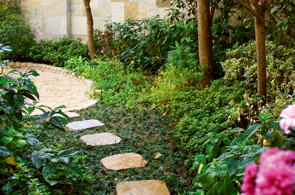 优发国际·随优而动一触即发